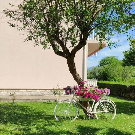 Apartman Dolcerosa Kotor Zewnętrze zdjęcie