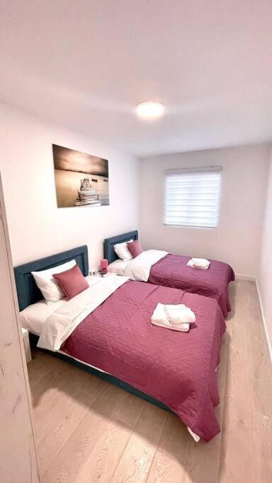 Apartman Dolcerosa Kotor Zewnętrze zdjęcie
