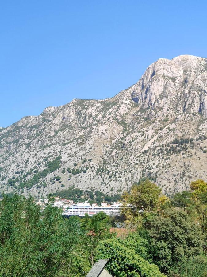 Apartman Dolcerosa Kotor Zewnętrze zdjęcie