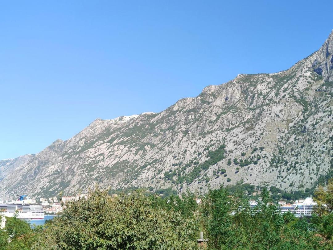 Apartman Dolcerosa Kotor Zewnętrze zdjęcie